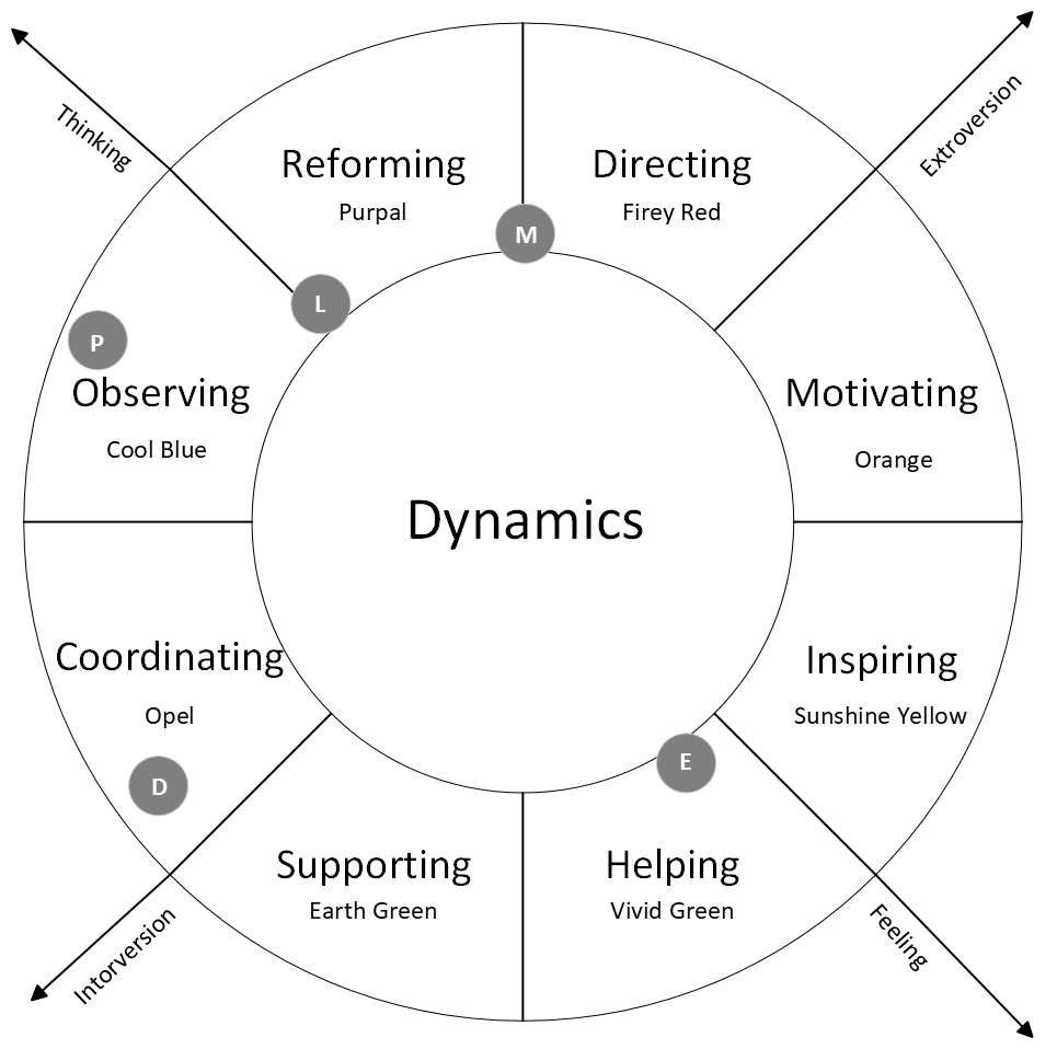 Team Dynamics Insights